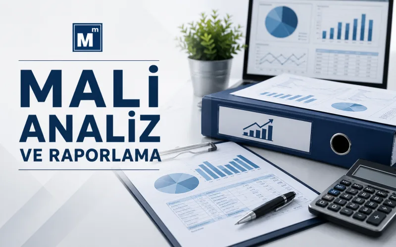 Mali Analiz ve Raporlama